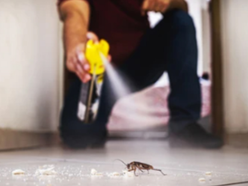 Máquina e soluções para produção e envase de inseticidas